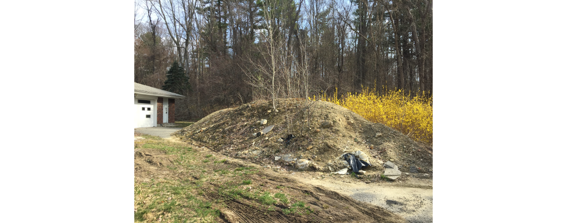 Project Highlight – Andover Residence