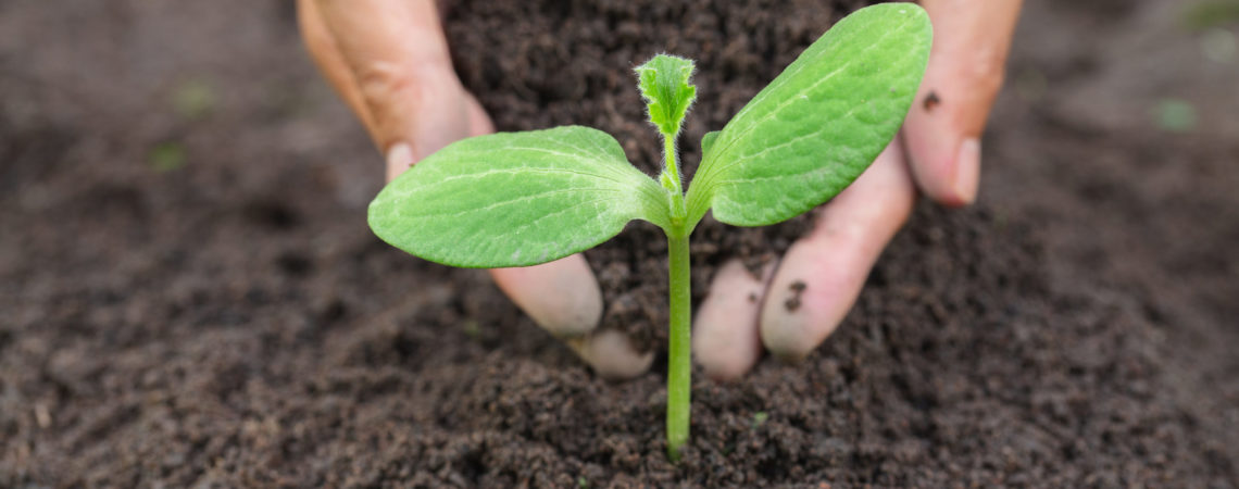 Earth Day 2020