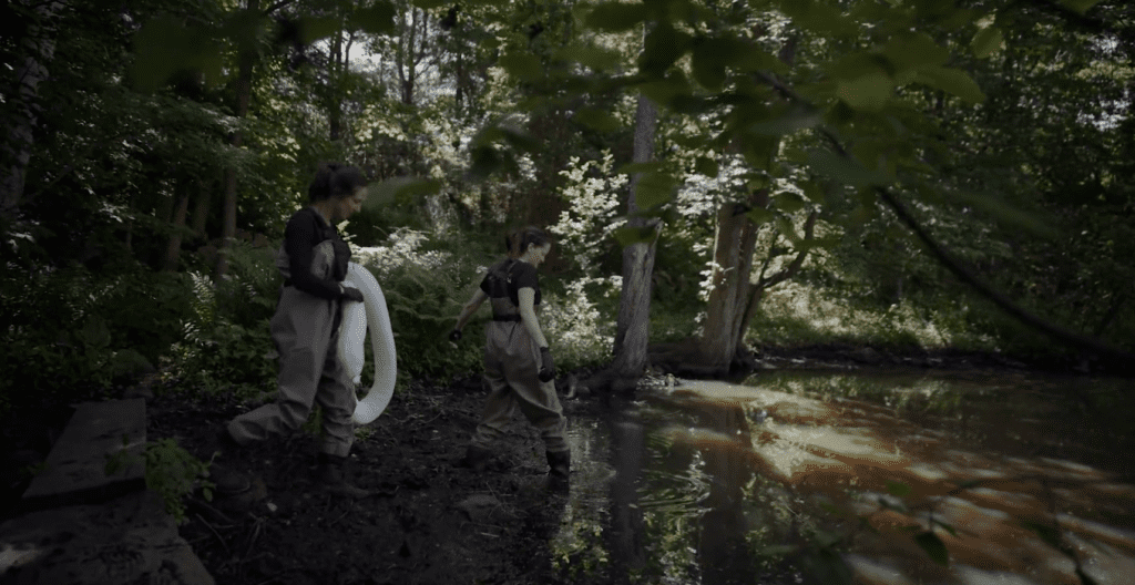 Cooperstown Environmental workers in marsh